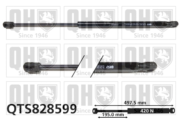 Gas Spring, boot/cargo area (QTS828599)