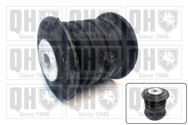 Bushing, leaf spring (EMS8757)