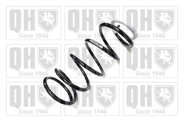 Suspension Spring (QCS6084)