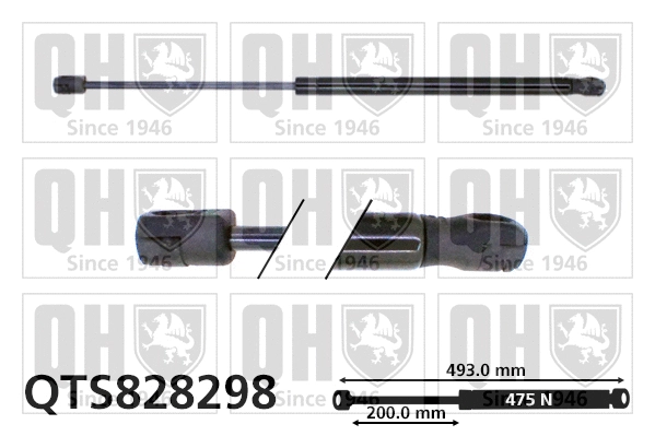 Gas Spring, boot/cargo area (QTS828298)