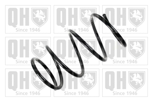 Suspension Spring (QCS6269)