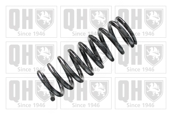 Suspension Spring (QCS6541)