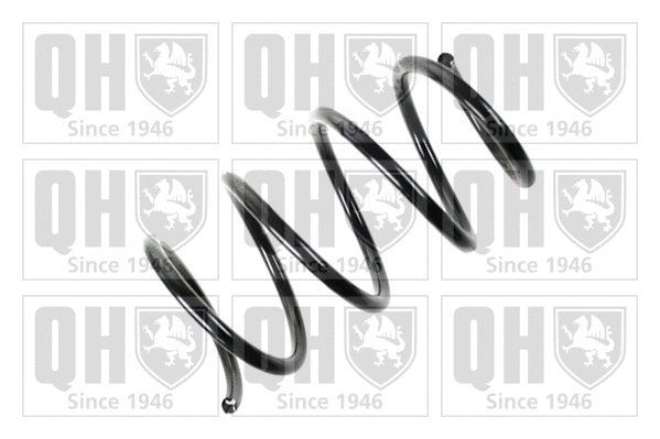 Suspension Spring (QCS7135)