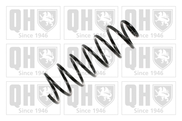 Suspension Spring (QCS6628)