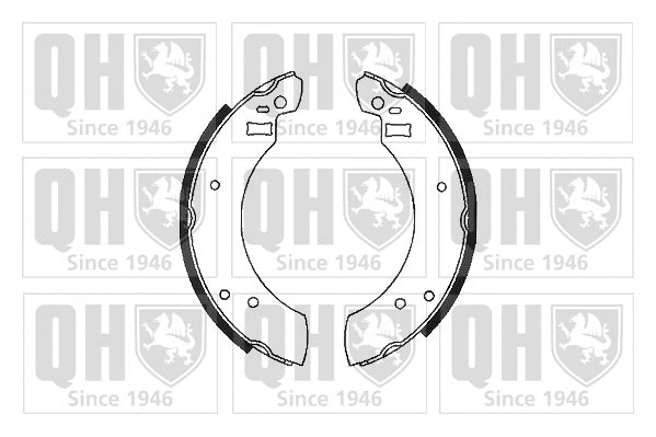 Brake Shoe Set (BS513)