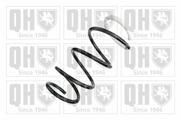 Suspension Spring (QCS8999)