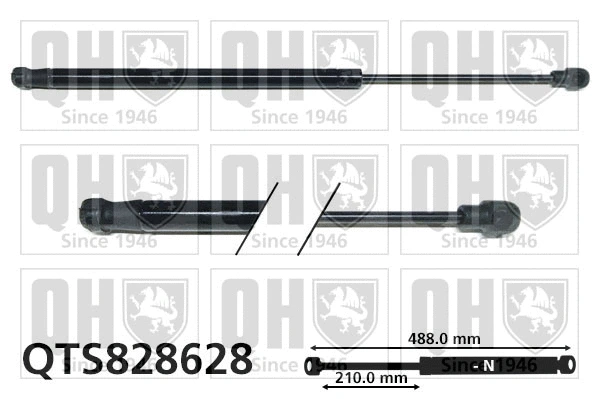 Gas Spring, boot/cargo area (QTS828628)