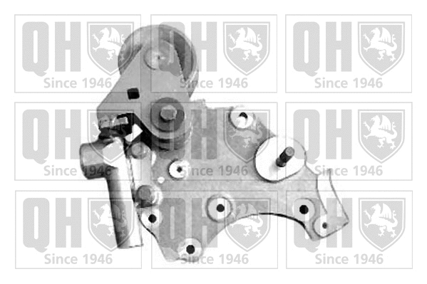Tensioner Pulley, timing belt (QTT816)