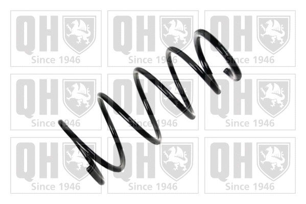 Suspension Spring (QCS7942)