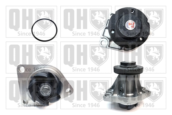 Water Pump, engine cooling (QCP3255)