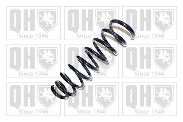 Suspension Spring (QCS5443)