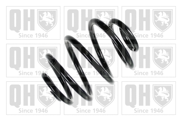 Suspension Spring (QCS7652)