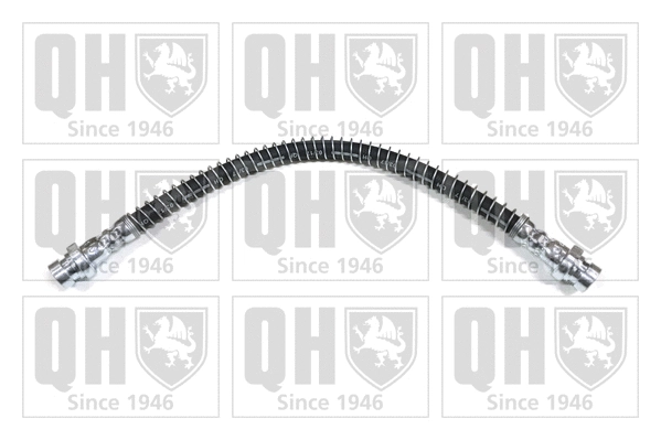 Brake Hose (BFH4619)