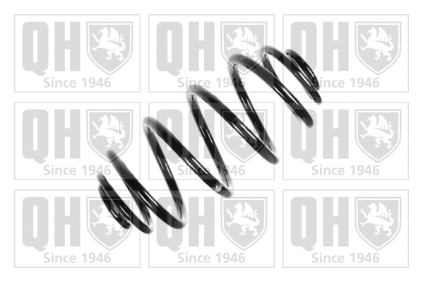 Suspension Spring (QCS5684)