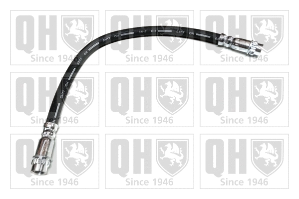 Brake Hose (BFH5725)