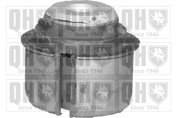 Mounting, control/trailing arm (EMS8114)