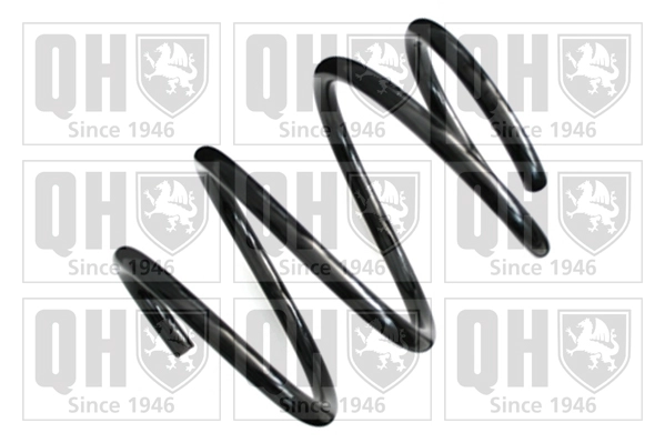 Suspension Spring (QCS8617)