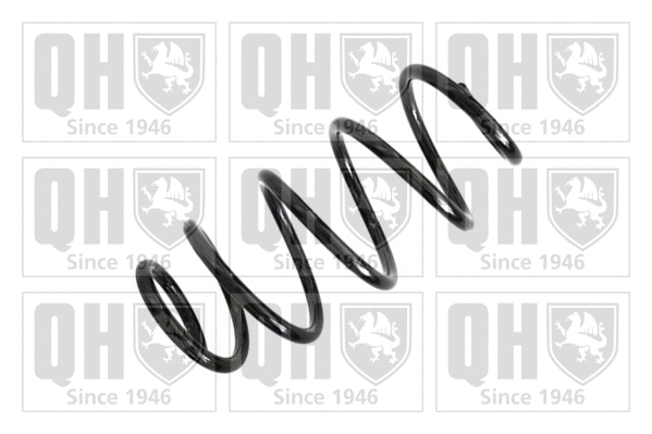 Suspension Spring (QCS5792)