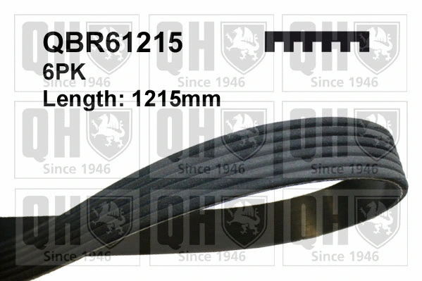 V-Ribbed Belt (QBR61215)