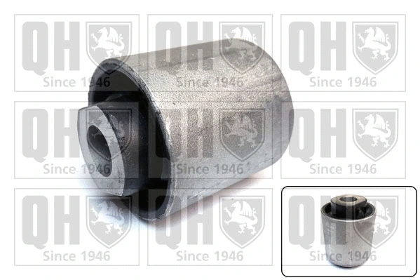 Mounting, control/trailing arm (EMS8384)