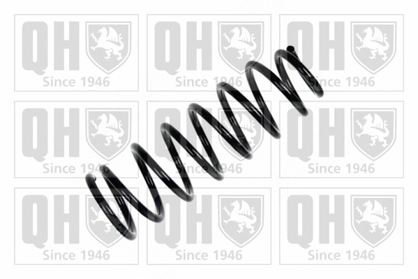 Suspension Spring (QCS6207)