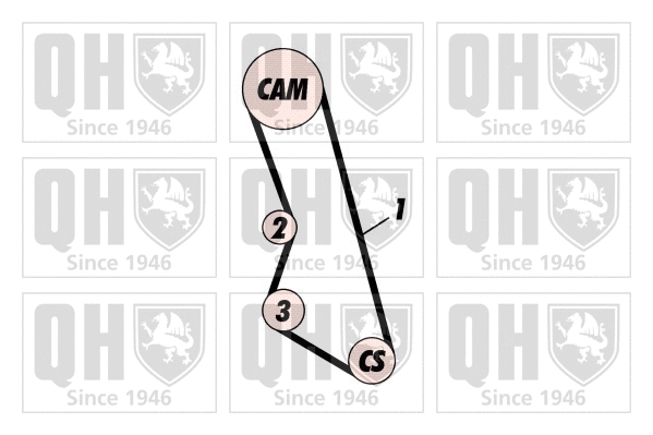 Timing Belt Kit (QBK106)