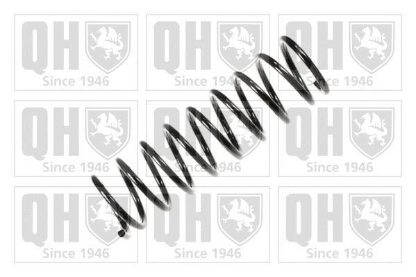 Suspension Spring (QCS7302)