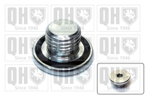 Screw Plug, oil sump (QOC1014)
