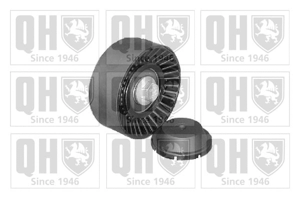 Deflection/Guide Pulley, V-ribbed belt (QTA1144)