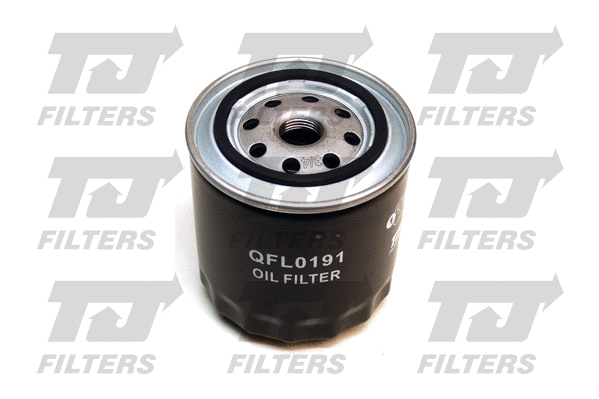 Oil Filter (QFL0191)