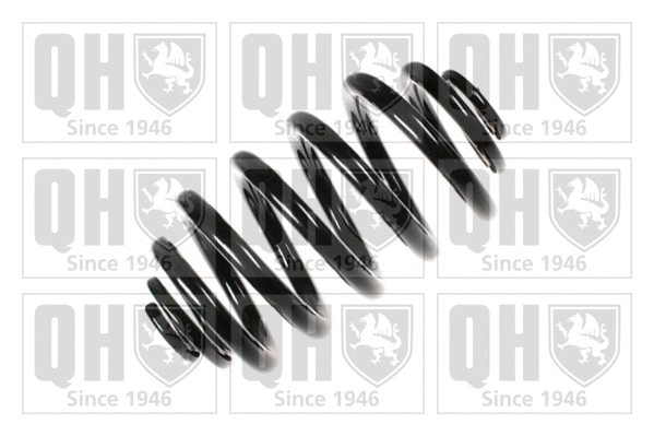 Suspension Spring (QCS7899)