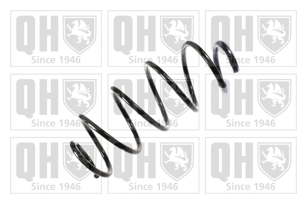 Suspension Spring (QCS6215)