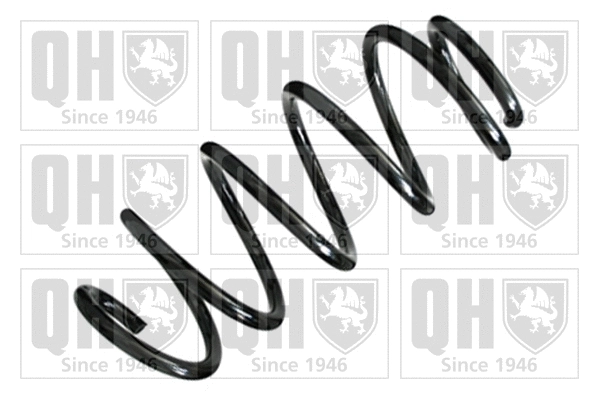 Suspension Spring (QCS6365)