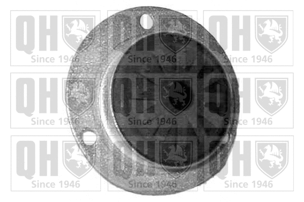 Suspension Strut Support Mount (EMR1839)
