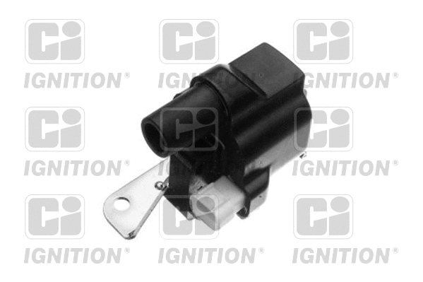 Ignition Coil (XIC8156)