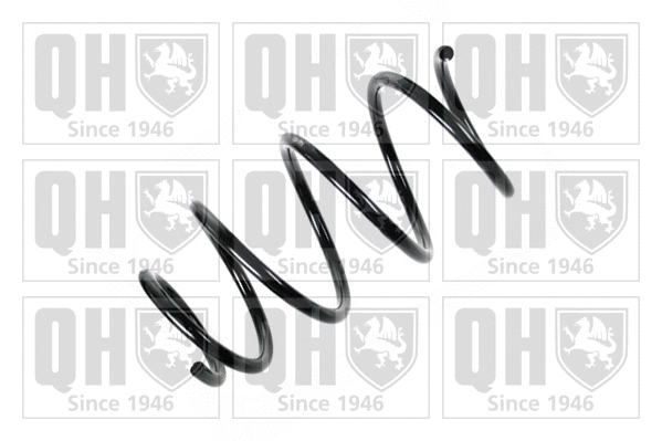 Suspension Spring (QCS5579)