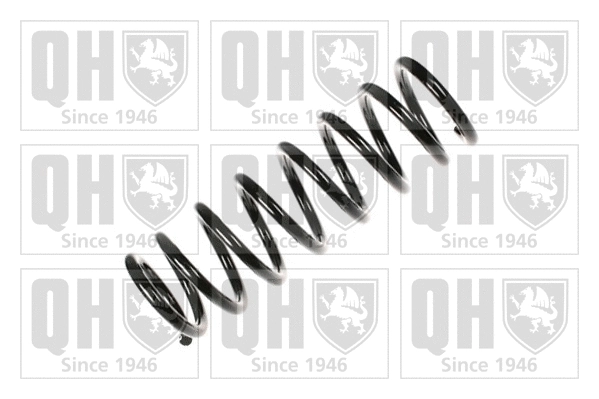 Suspension Spring (QCS5133)