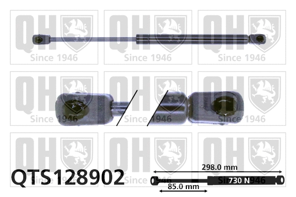 Gas Spring, boot/cargo area (QTS128902)