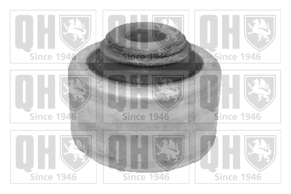Mounting, control/trailing arm (EMS8471)