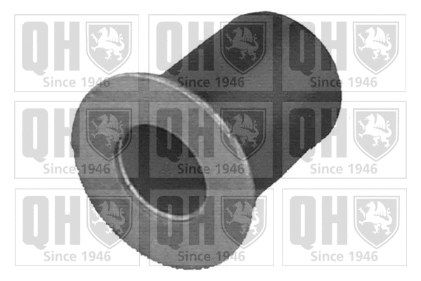 Mounting, control/trailing arm (EMS8175)