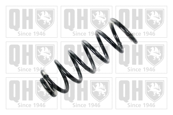 Suspension Spring (QCS6547)