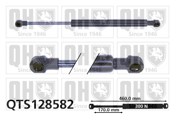 Gas Spring, bonnet (QTS128582)