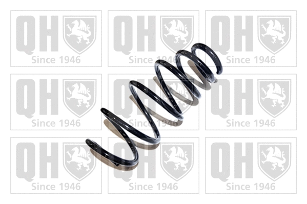 Suspension Spring (QCS7623)
