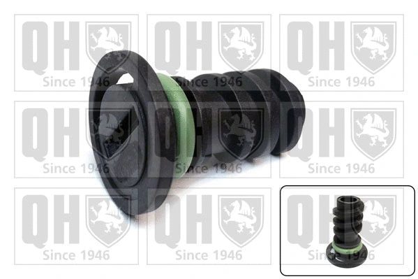 Screw Plug, oil sump (QOC1013)