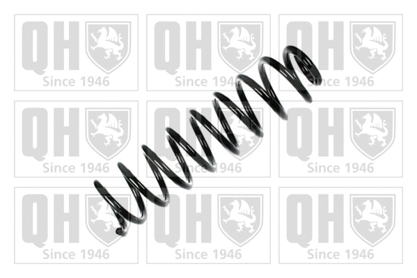 Suspension Spring (QCS5962)