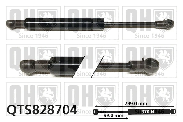 Gas Spring, boot/cargo area (QTS828704)