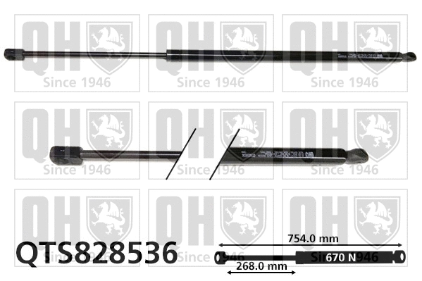 Gas Spring, boot/cargo area (QTS828536)
