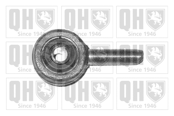 Eyebolt, tie rod (QR1489S)