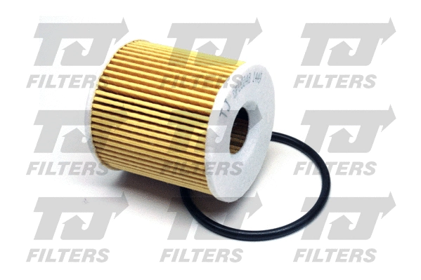 Oil Filter (QFL0048)