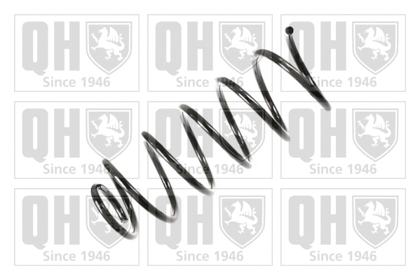 Suspension Spring (QCS8231)